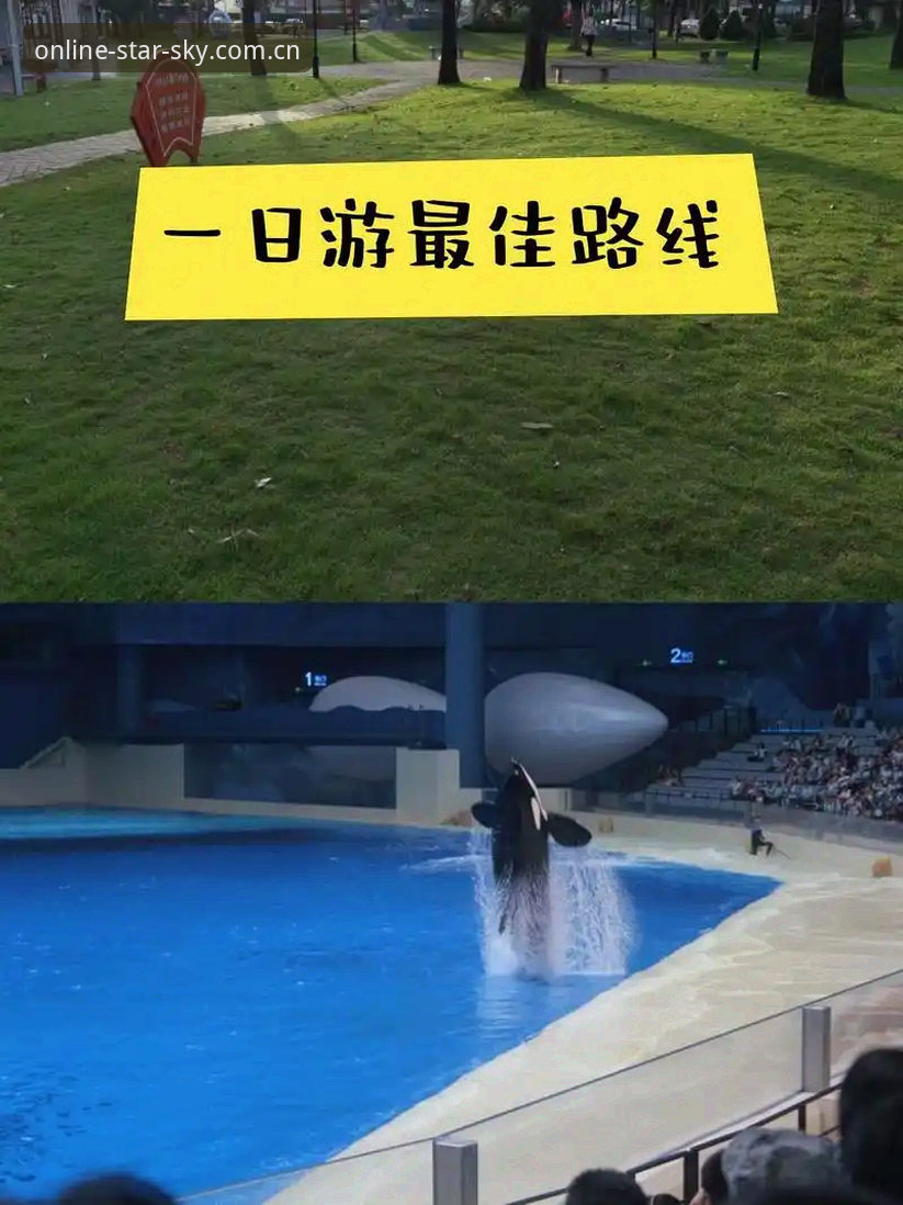 星空体育平台深度评测：从新手到老玩家的完整体验报告